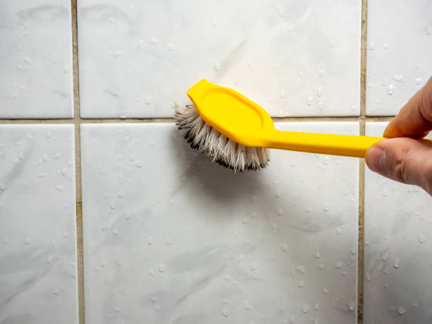 Best Emergency Mold Remediation in Elgin, OK