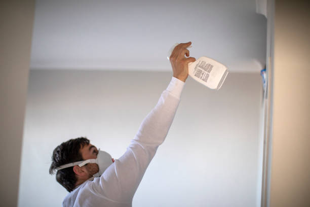 Best White Mold Remediation in Elgin, OK