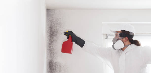 Best Bathroom Mold Remediation in Elgin, OK